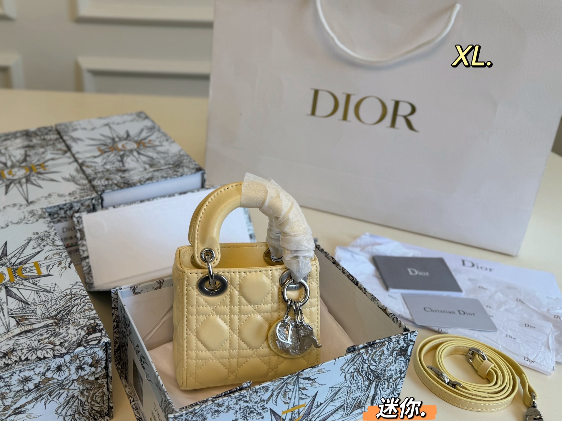 DIOR bag 08
